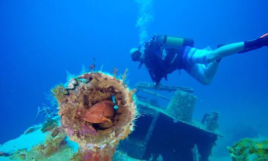 Enjoy Diving in Nosy Be, Madagascar