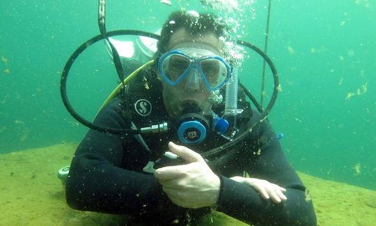 Beginner and Advanced Diving Courses and Trips in Noordhoek, Bloemfontein