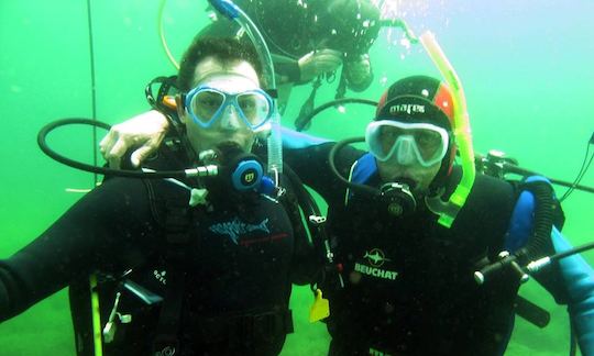 Beginner and Advanced Diving Courses and Trips in Noordhoek, Bloemfontein