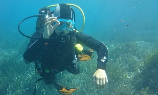 Disfrute de viajes y clases de buceo en La Seyne-Sur-Mer, Francia