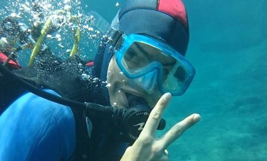 Disfrute de viajes y clases de buceo en La Seyne-Sur-Mer, Francia