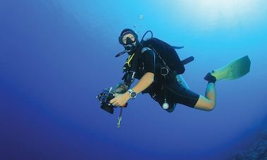 Aproveite o mergulho em Sharm el-Sheikh, Egito