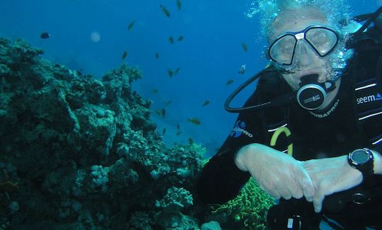 Enjoy Diving Lessons in Meise, Belgium