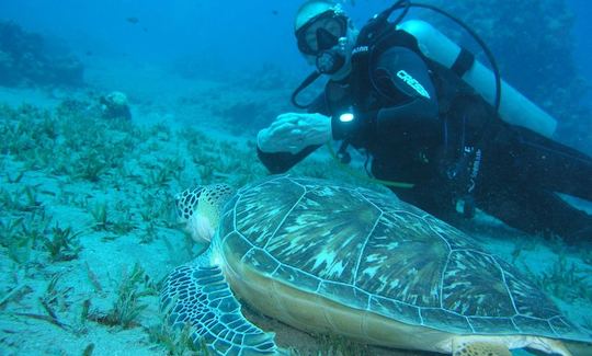 Enjoy Diving Lessons in Meise, Belgium