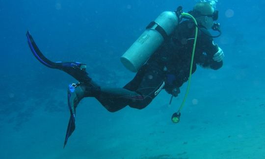 Enjoy Diving Lessons in Meise, Belgium