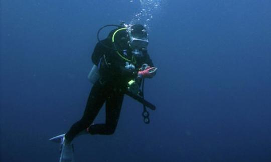 Disfruta del buceo en Burgas y Sozopol, Bulgaria