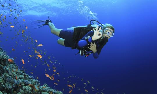 Disfruta del buceo en Burgas y Sozopol, Bulgaria