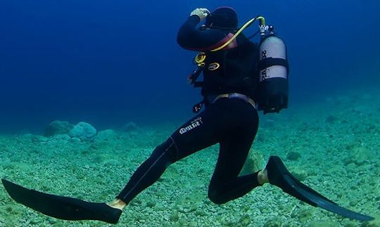 Enjoy Diving Trips in Labin, Croatia