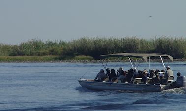 20 Seater Passenger Boat Trips in Kasane