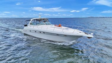 51' Sea Ray Sundancer - Ultimate Luxury in South Tampa