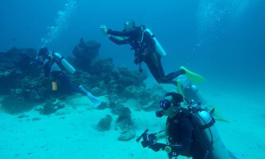 Apprenez les bases de la plongée sous-marine à Bali, en Indonésie