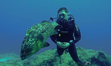 Profitez de la plongée sous-marine à Muğla, en Turquie