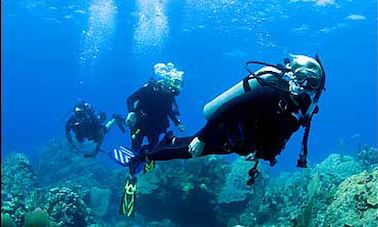 Disfruta del buceo en Nusapenida, Nusa Lembongan