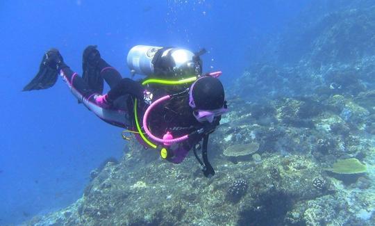 Desfrute de viagens de mergulho em Komodo, Nusa Tenggara Timur