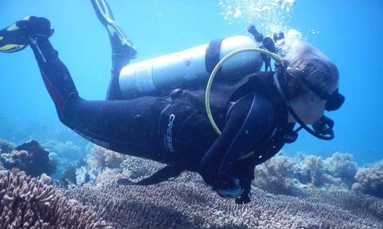 Desfrute de viagens de mergulho em Komodo, Nusa Tenggara Timur