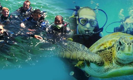 Disfruta de viajes de buceo en Randburg, Gauteng