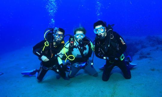 Enjoy Diving Course In Johannesburg, South Africa