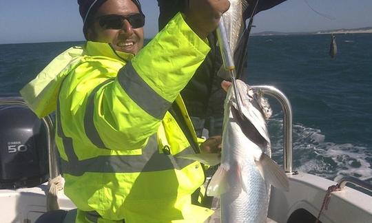 Tous à bord ! Pêche à Durban, en Afrique du Sud, sur la console centrale