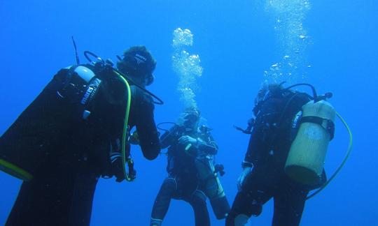 Disfruta de los cursos de buceo en Durban North, KwaZulu-Natal