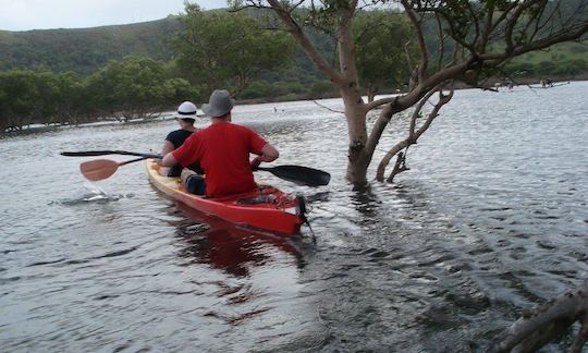 Tours guiados en kayak en Ngqeleni, Cabo Oriental