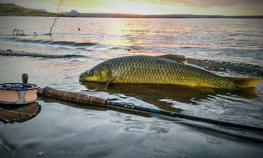 Profitez de la pêche à la mouche au KwaZulu-Natal, en Afrique du Sud