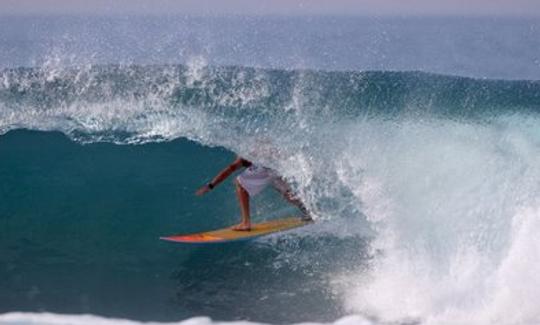 Clases de surf en Auckland, Nueva Zelanda