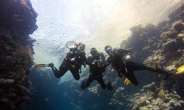 Emocionante aventura de mergulho na província do Sinai do Sul, Egito