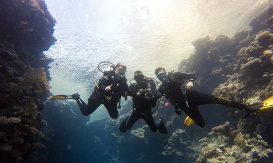 Exciting Diving Adventure in South Sinai Governorate, Egypt