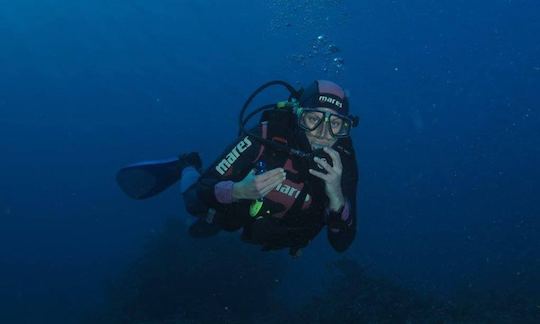 Exciting Diving Adventure in South Sinai Governorate, Egypt