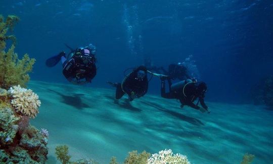 Exciting Diving Adventure in South Sinai Governorate, Egypt