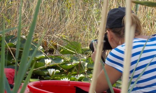 Profitez d'excursions en kayak à Sulina, Tulcea