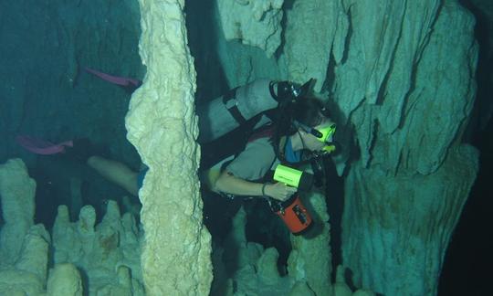 Profitez de la plongée et de la spéléologie