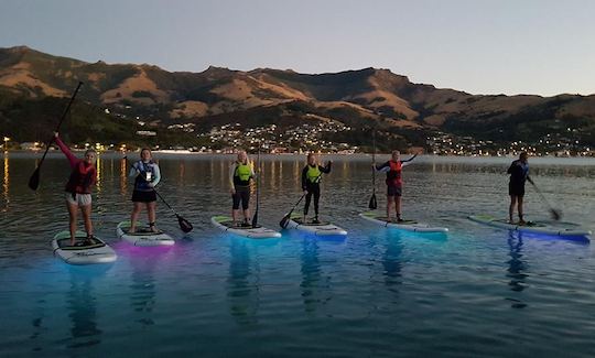 NightSUP Guided Night Paddle boarding in Akaroa, New Zealand