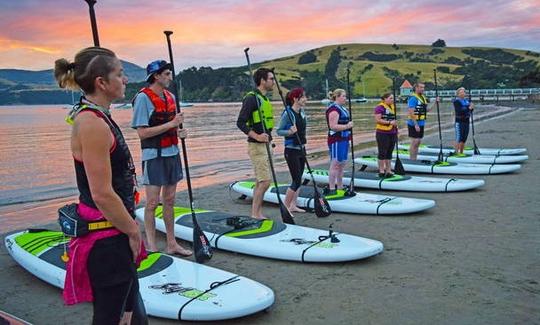 Aula de stand up paddle board em Akaroa, Nova Zelândia