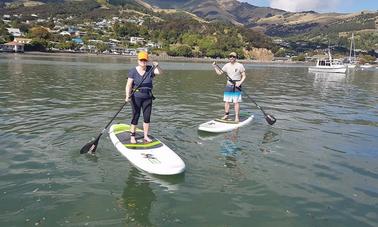 Stand Up Paddleboard Rental in Akaroa, Canterbury