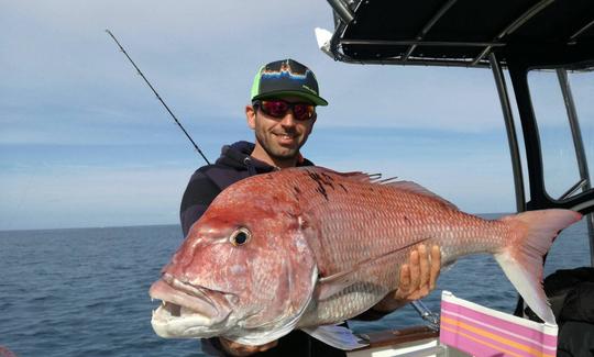 Carta de pesca em Castellammare del Golfo, Sicilia com o capitão Bruno