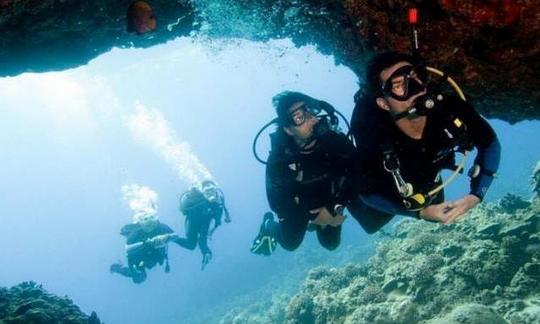 Disfruta de los cursos de buceo en Breda, Países Bajos