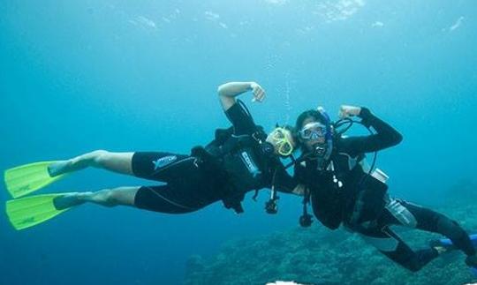 Disfruta de los cursos de buceo en Breda, Países Bajos