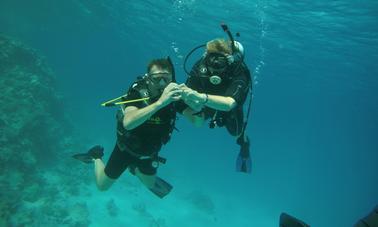 Disfruta del buceo en la gobernación del Mar Rojo, Egipto