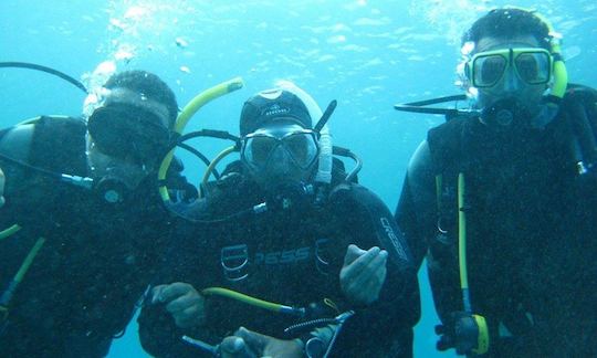 Cours de plongée sous-marine PADI dans le gouvernorat du Sinaï Sud, Égypte