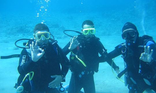 Cours de plongée sous-marine PADI dans le gouvernorat du Sinaï Sud, Égypte