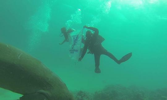 Disfruta del buceo en Marsa Alam, Egipto