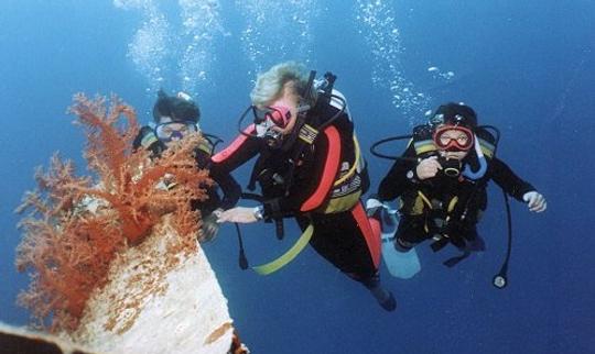 Profitez de cours de plongée dans le gouvernorat de la mer Rouge, en Égypte