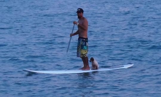 Paddleboard en Río Hato