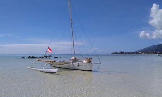 Captained Boat Tour Aboard the  29ft "Va'a Tai'e" Traditional Pirogue Sailboat