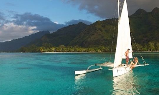 Captained Boat Tour Aboard the  29ft "Va'a Tai'e" Traditional Pirogue Sailboat