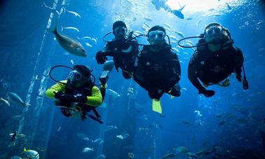 Emocionantes viajes de vacaciones de buceo en la gobernación del Mar Rojo, Egipto