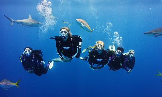 Viagens de férias emocionantes de mergulho na província do Mar Vermelho, Egito