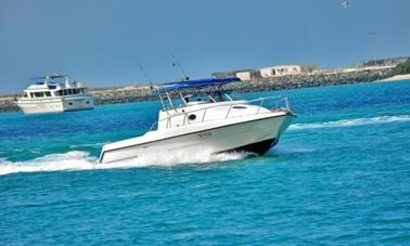 Fishing Activity in Dubai