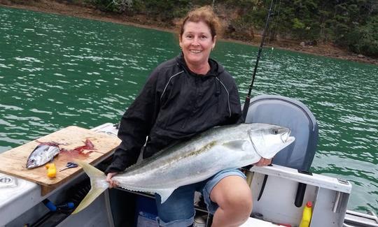 Aproveite a pesca em Tutukaka, Northland na Cuddy Cabin